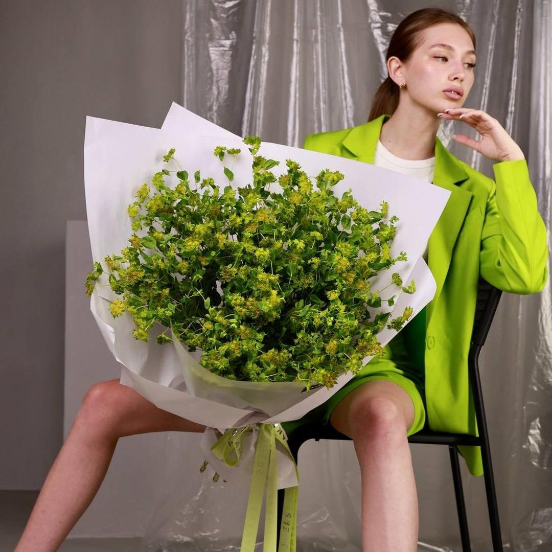 Монобукет из зеленого буплерума