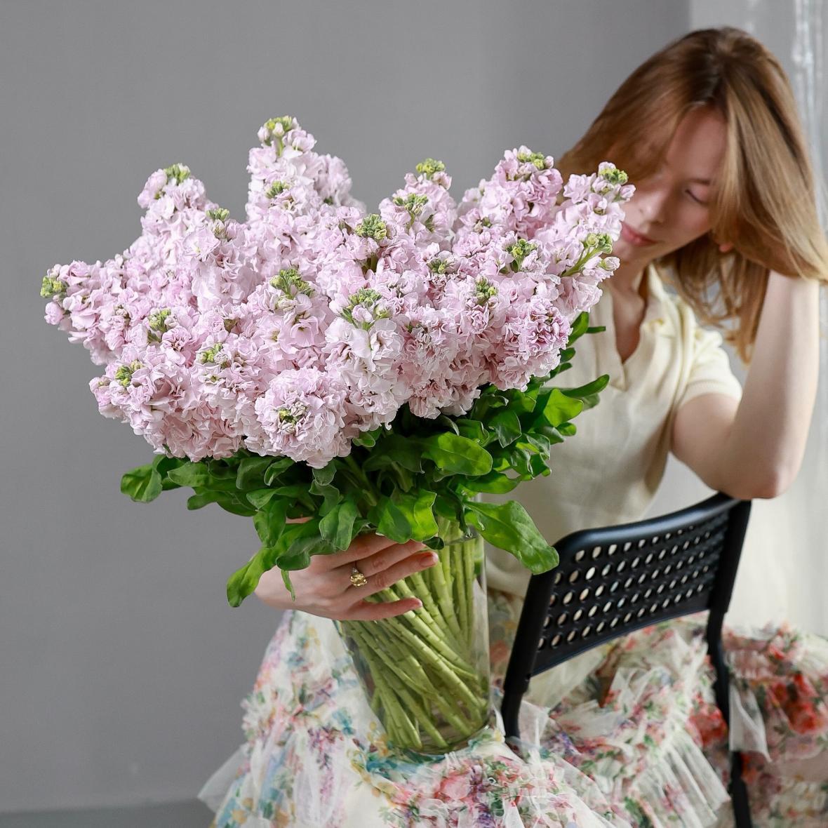 Маттиола нежно-розовая