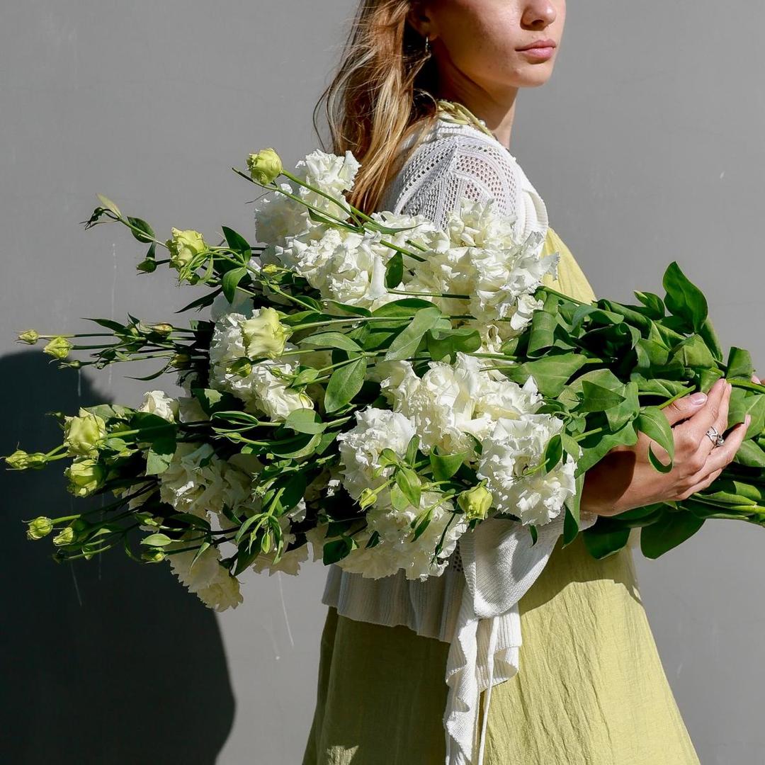 Эустома белая