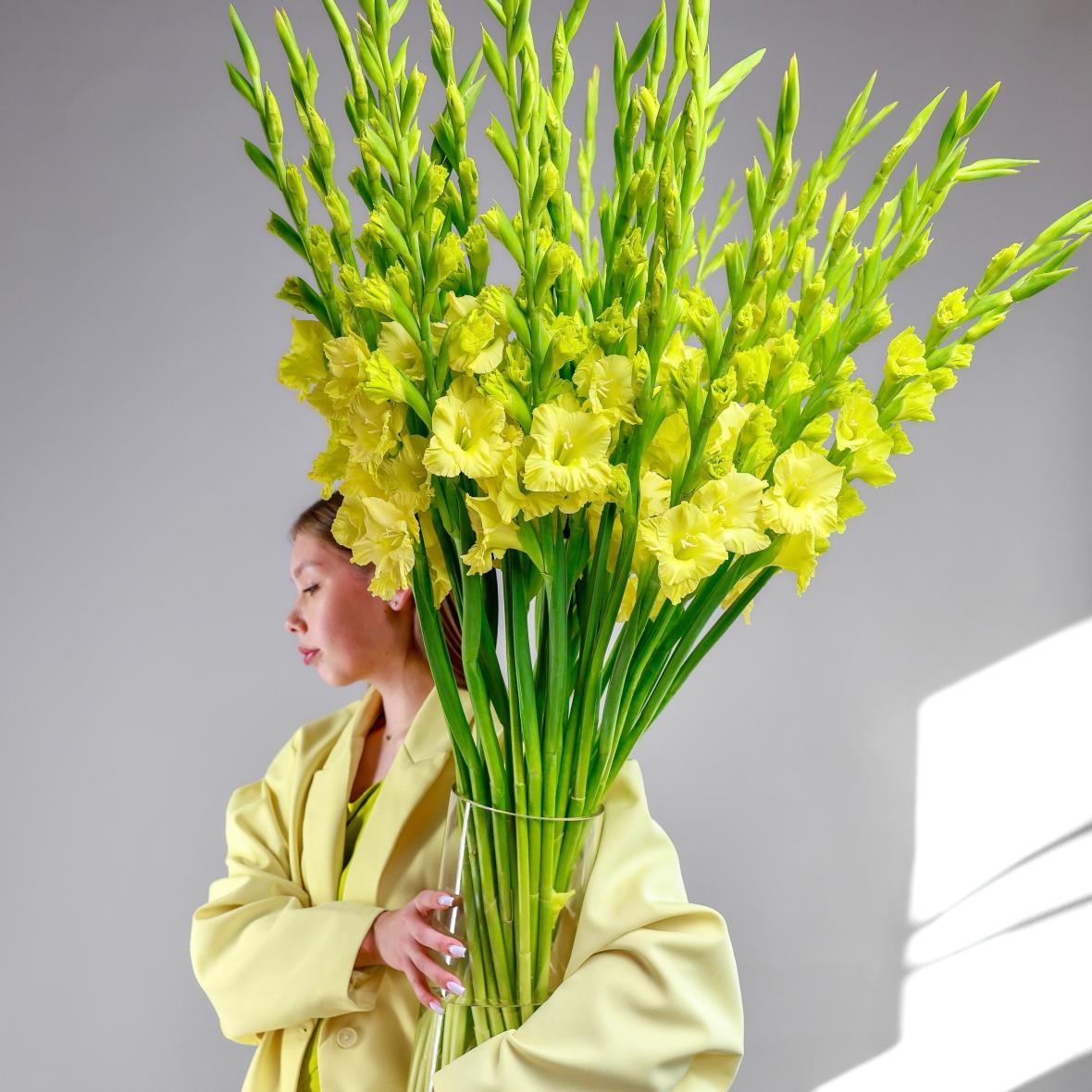 Гладиолус желтый