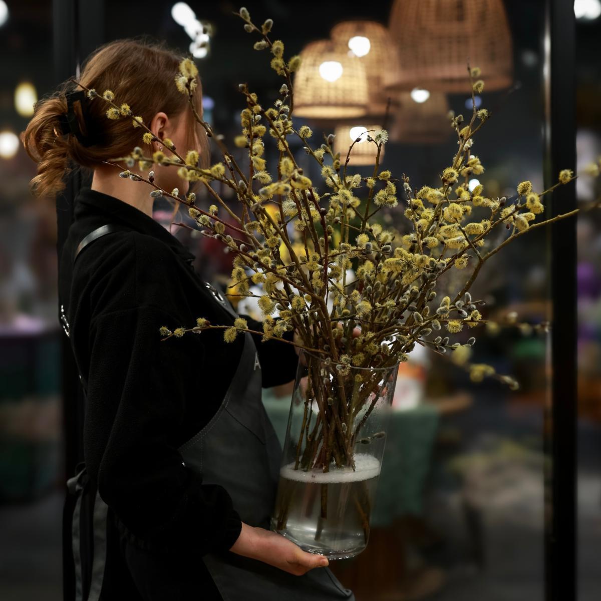 Ветки вербы