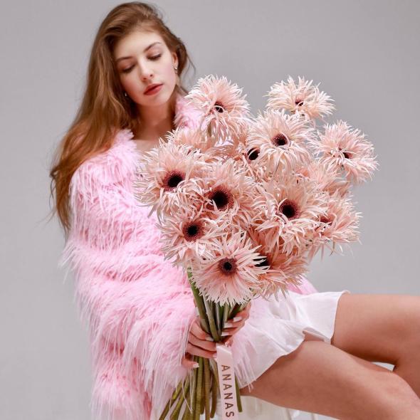 Гербера сортовая