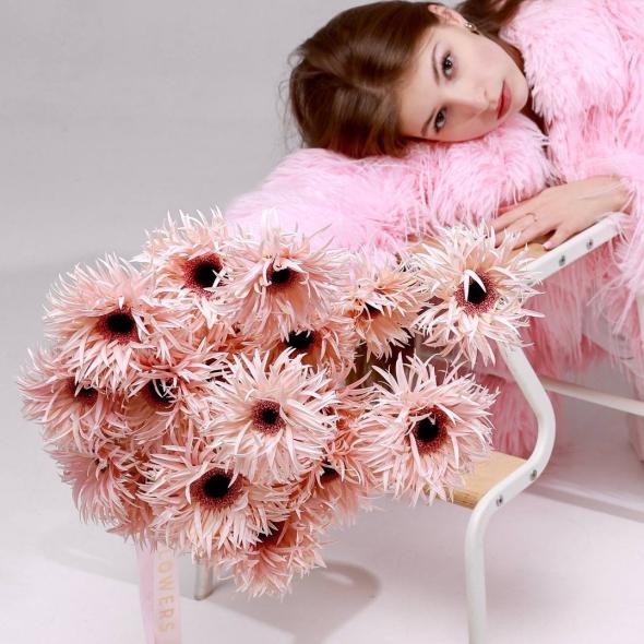 Гербера сортовая