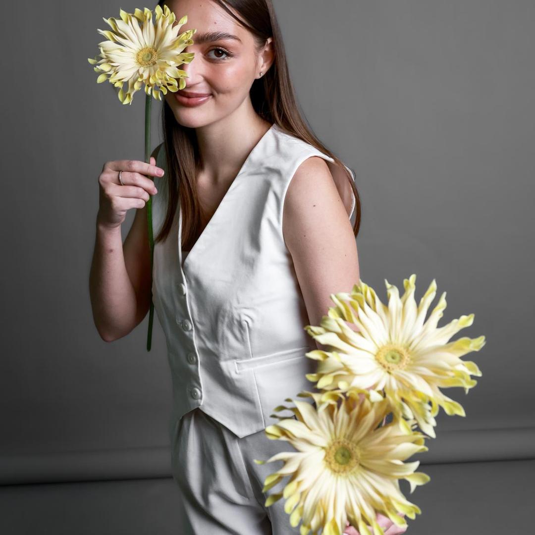 Гербера Pasta