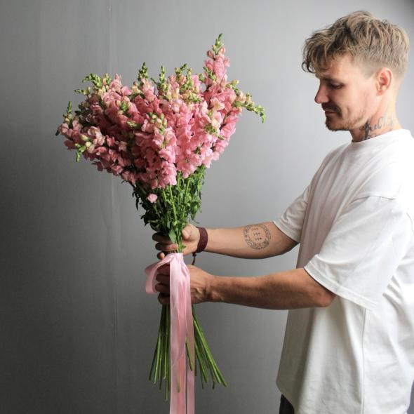 Антирринум розовый